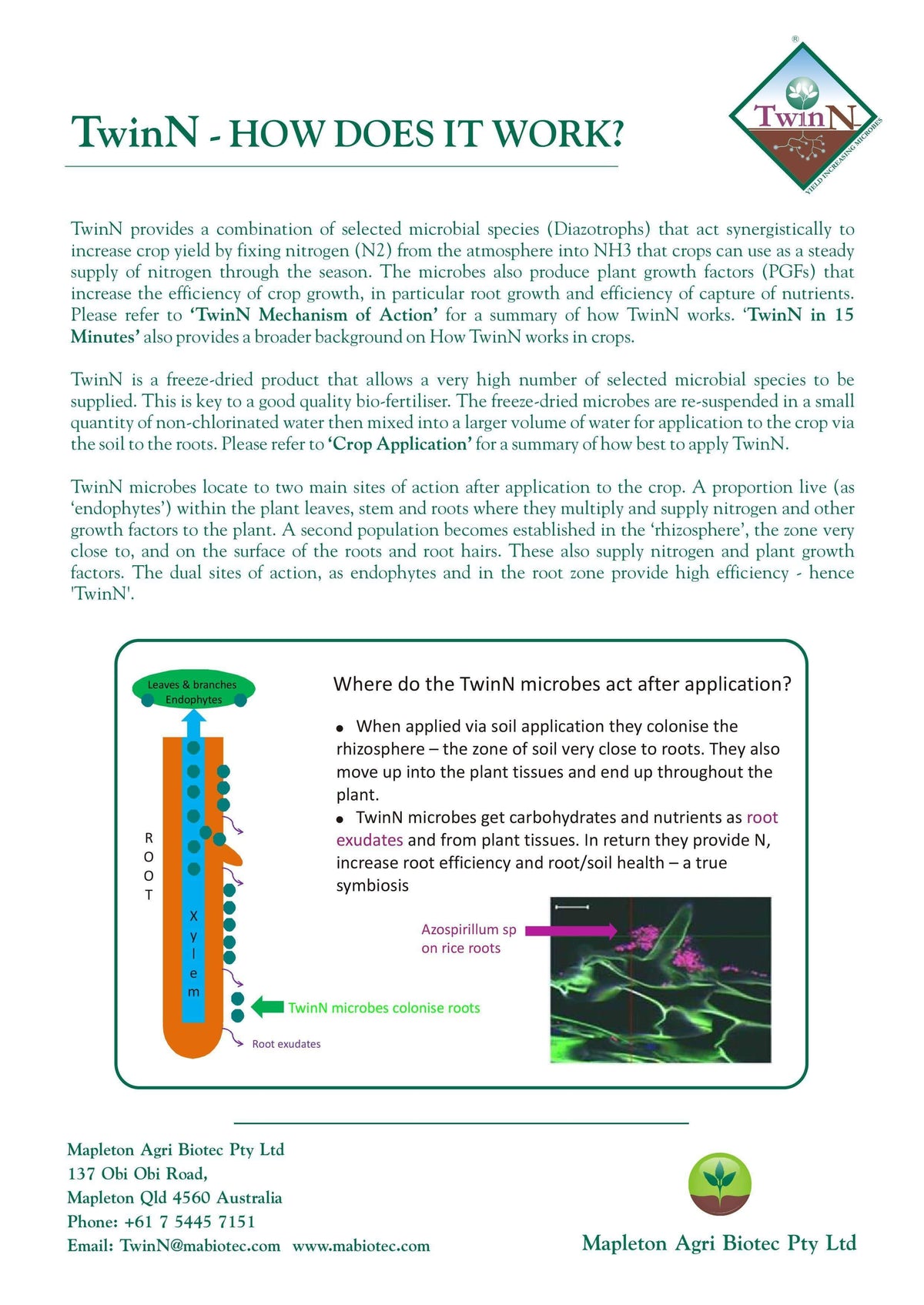 Mapleton Biotech Mapleton BioTech TwinN