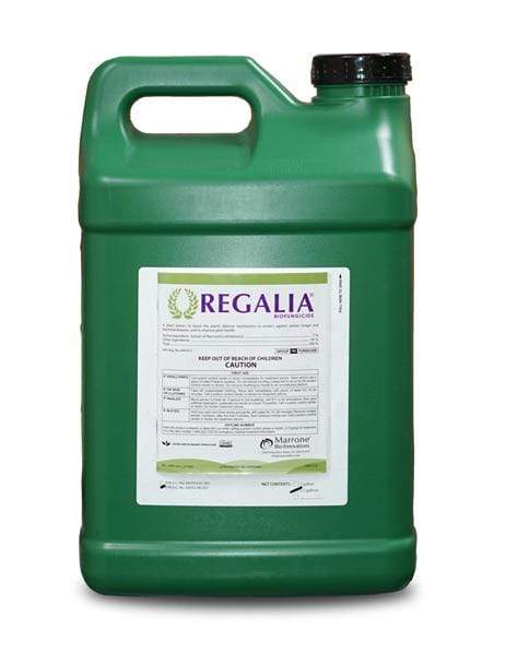 Marrone Bio Innovations Regalia Biofungicide (2.5 gal)