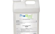 Load image into Gallery viewer, Apical Crop Science 2.5 gallons ProBlad Verde